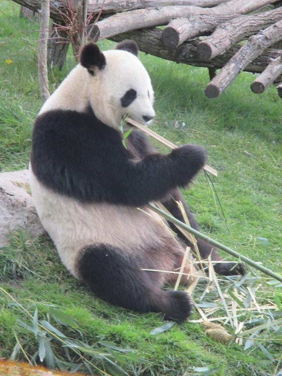 Studio & Gite Zen De Beauval- 800 M Du Zooparc * Seigy